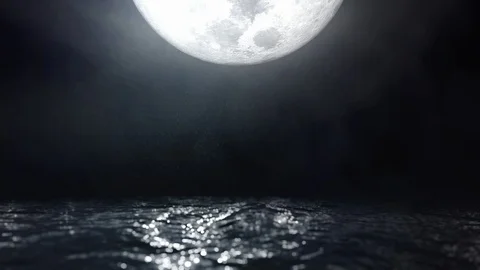 Moonlight Reflection on Water Waves Seascape Seamless Loop Cinemagraph Video stock 113832621