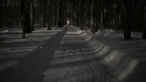 Moonlight Shadows Time Lapse 2 스톡 동영상 11894451