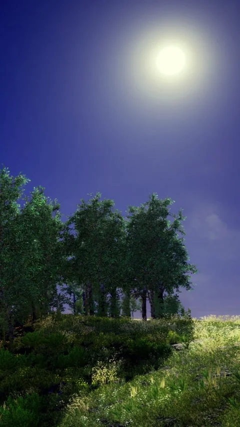 Moonlight shines on trees in a clear night sky with glowing landscape Stock Footage 334884982