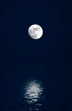 Moonlight Sonata 1 Stock Photos