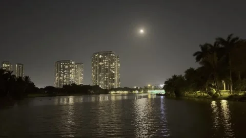 Moonlight Sparkling Across A Lake In Ecopark Stock Footage 336483853