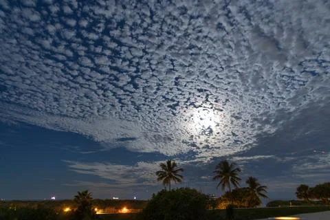 Moonlight tropical sky with palm tree and dramatic cloud. Altocumulus clouds 库存照片