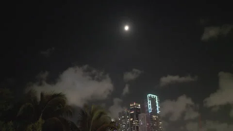 Moonlight views skyline views Stock Footage 280790775