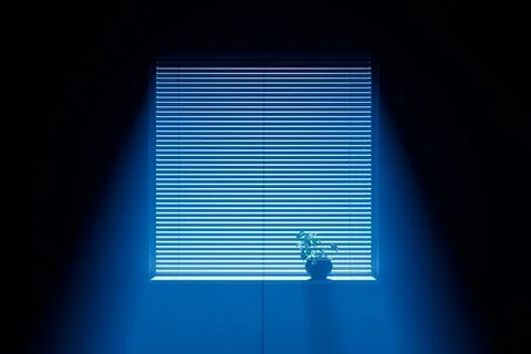 Moonlight from the window Stock Illustration