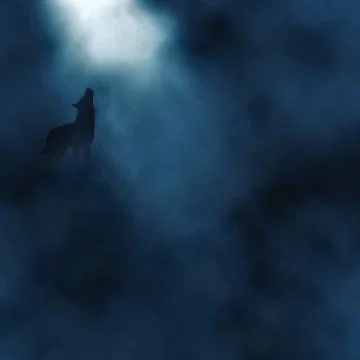 Moonlight wolf howling Stock-Illustration