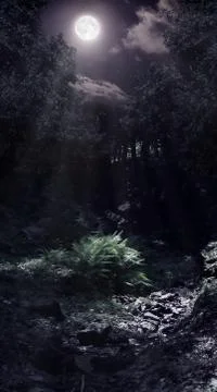 Moonlight in the woods 스톡 사진