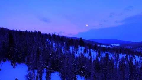 Moonlit backdrop in a cold and foreboding wintry forest, captured in deep Stock Footage 104442999