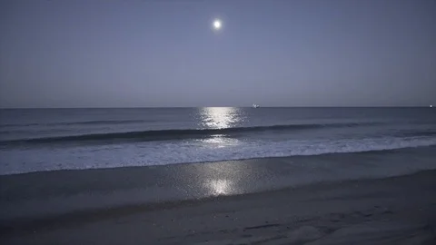 Moonlit beach Video stock 101038555