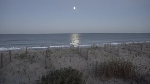 Moonlit beach OBX NC Video stock 101038556