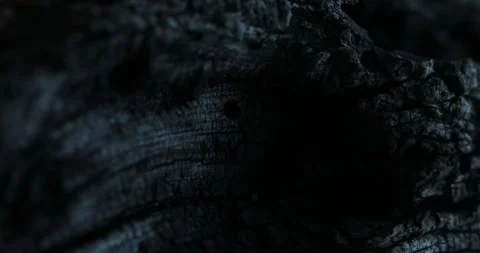 Moonlit Charred Wood Texture. Stock Footage 263077446