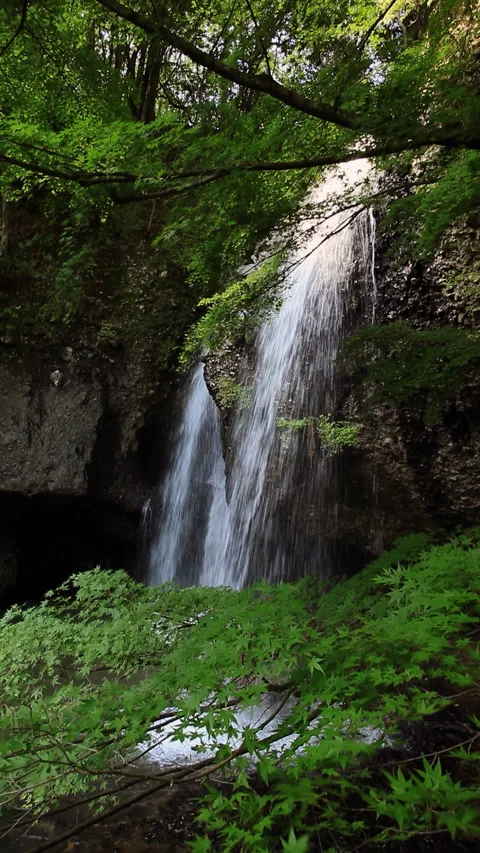 Moonlit Falls Stock Footage 332014971