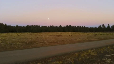 Moonlit Field Stock Footage 93325451