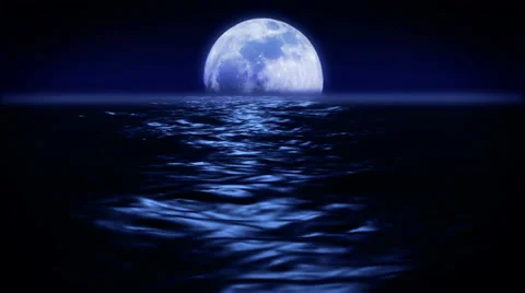 Moonlit flight 動画素材 32693212