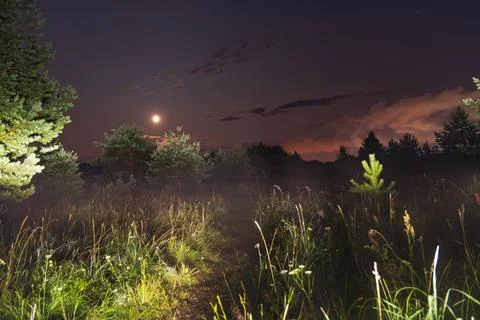 Moonlit Meadow Stock Photos