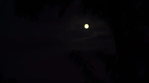 Moonlit night and clouds passing in front of the moon light Stock Footage 248831446