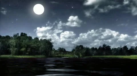 A moonlit night Stockbeeldmateriaal 21522743