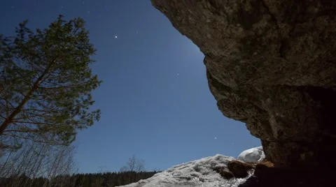 Moonlit night in a forest cave Stock Footage 64893541