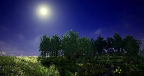 Moonlit night illuminates tranquil forest under starlit sky Ilustração Stock