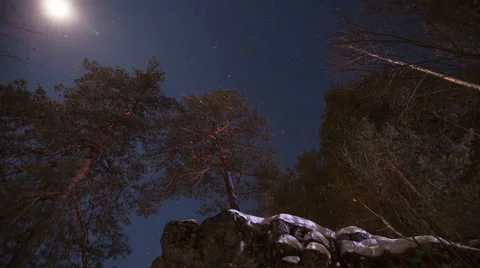 Moonlit night in the mountain forest Stock Footage 64894537