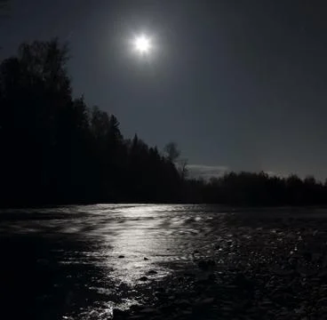 Moonlit night Foto stock