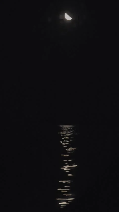 Moonlit night with reflections on water Stock Footage 312517592
