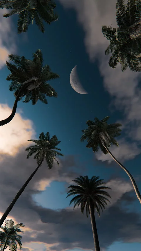 Moonlit palm trees under drifting clouds in a seamless loop Stock Footage 335020081