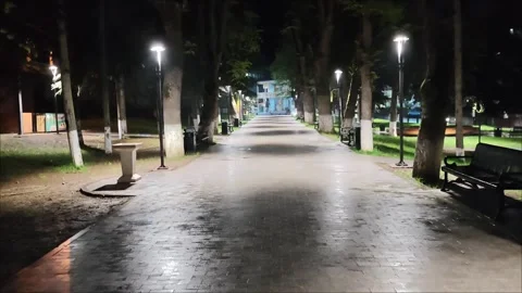 Moonlit park pathway glowing under streetlight ambiance Stock-Footage 307494953