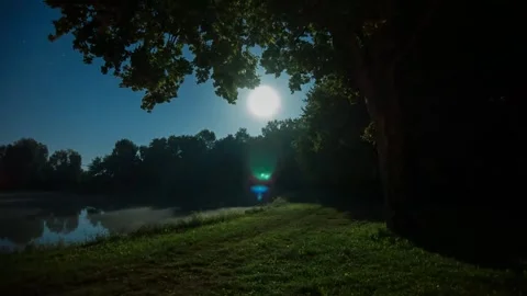 Moonlit Park Scene with Lens Flare Effects on Pond Stock Footage 346204892