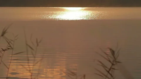 Moonlit path Stock Footage 44055542