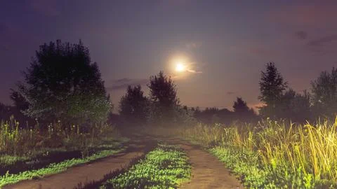 Moonlit Path Stock Photos