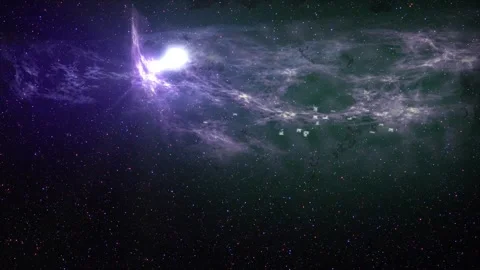 Moonlit Seagulls in Flight Stock Footage 325329427