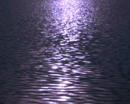 Moonlit Water 1 Stock Footage 284549