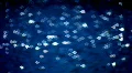 Moonlit water. Wide shot. HD Footage