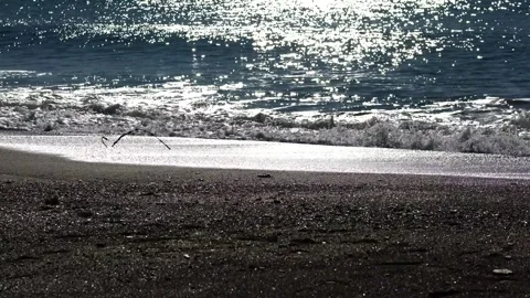 Moonlit Waves Crashing on Shore Stock Footage 307912955