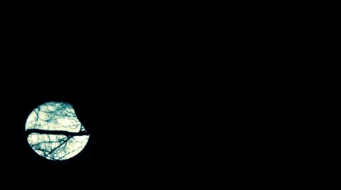 Moonrise Stock Footage 24817500