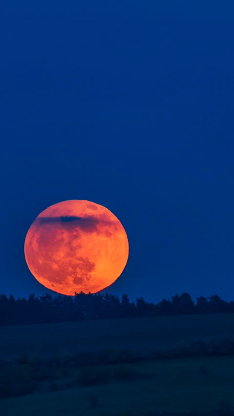 Moonrise Stock Footage 293155725