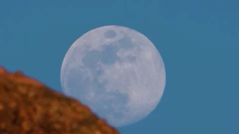 Moonrise Vidéo 317587114