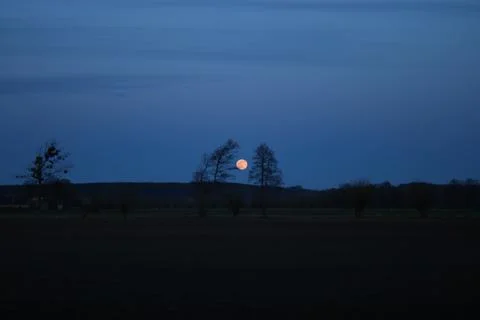 Moonrise, full moon, tree shadows, the valley of the Lower Vistula. Stock Photos