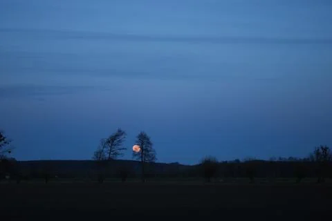 Moonrise, full moon, tree shadows, the valley of the Lower Vistula. Stock Photos
