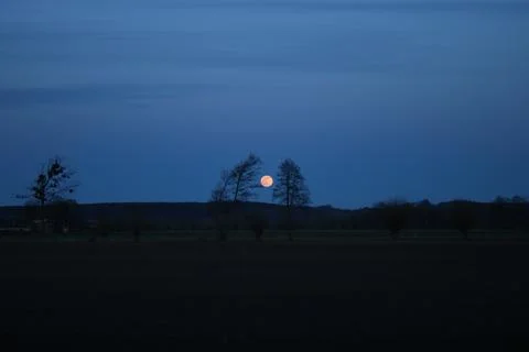 Moonrise, full moon, tree shadows, the valley of the Lower Vistula. Stock Photos