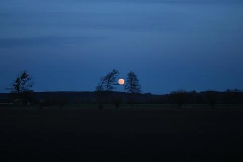 Moonrise, full moon, tree shadows, the valley of the Lower Vistula. Stock Photos