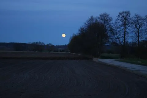 Moonrise, full moon, tree shadows, the valley of the Lower Vistula. Stock Photos