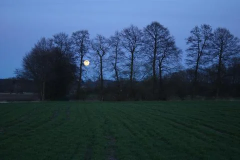 Moonrise, full moon, tree shadows, the valley of the Lower Vistula. Stock Photos