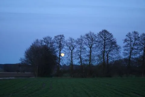 Moonrise, full moon, tree shadows, the valley of the Lower Vistula. Stock Photos