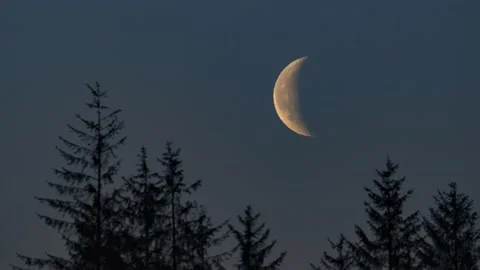 Moonrise - Galloway forest Stock Footage 154234405