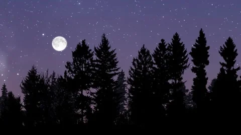Moonrise Logo Reveal Stock After Effects