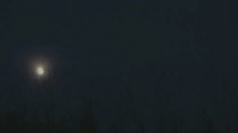 Moonrise over a field. Stock Footage 22497231