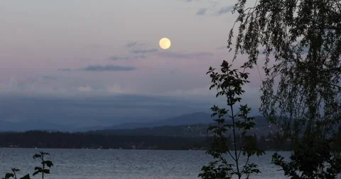 Moonrise Over lake with tree Stock Footage 165266980