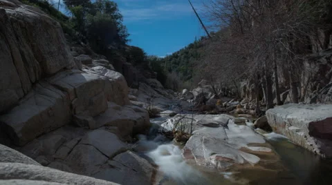 Moonrise over Stream Flowing at Night Rack Focus Timelapse in beautiful Nature Stock Footage 61495510