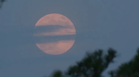 Moonrise, pink moon, summer haze Stock Footage 33733311